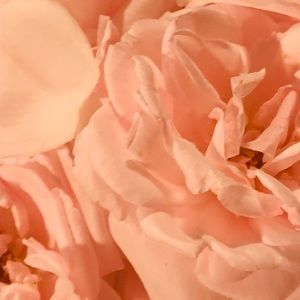 Meet your Posher, Hailey